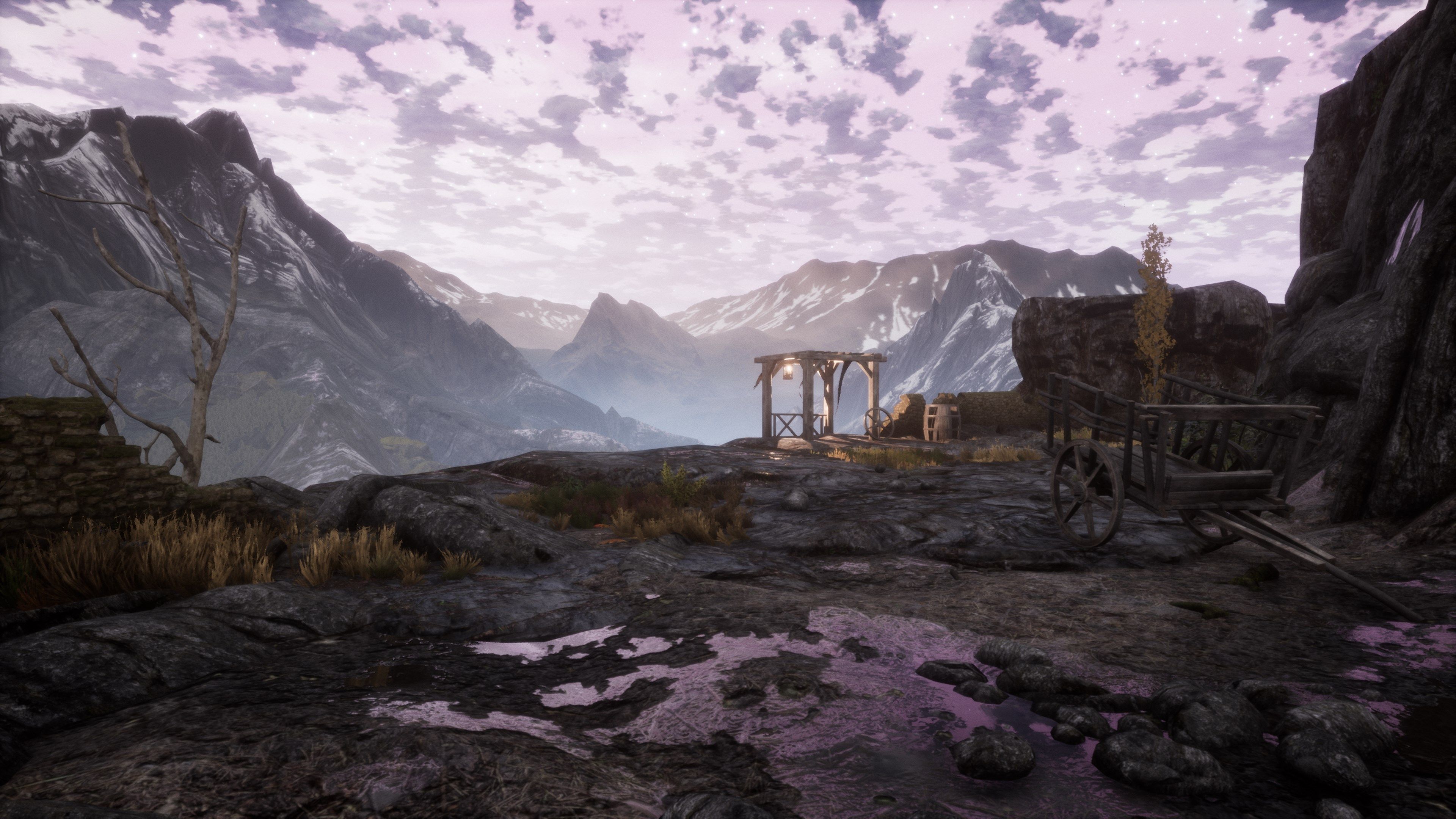 The Dead Tree of Ranchiuna - Imagen 7